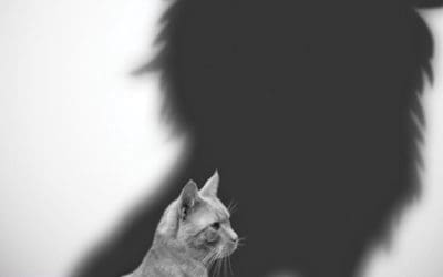 6 Steps to an Enterprise DataOps Transformation