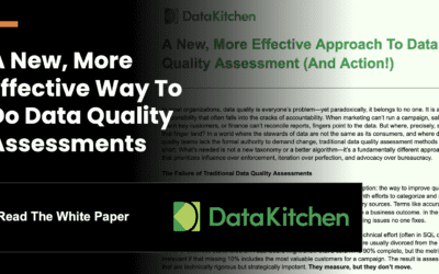 White Paper:  A New, More Effective Approach To Data Quality Assessments