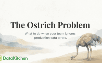 The Ostrich Problem: Your Data Team Thinks Their Job Ends at Deployment.